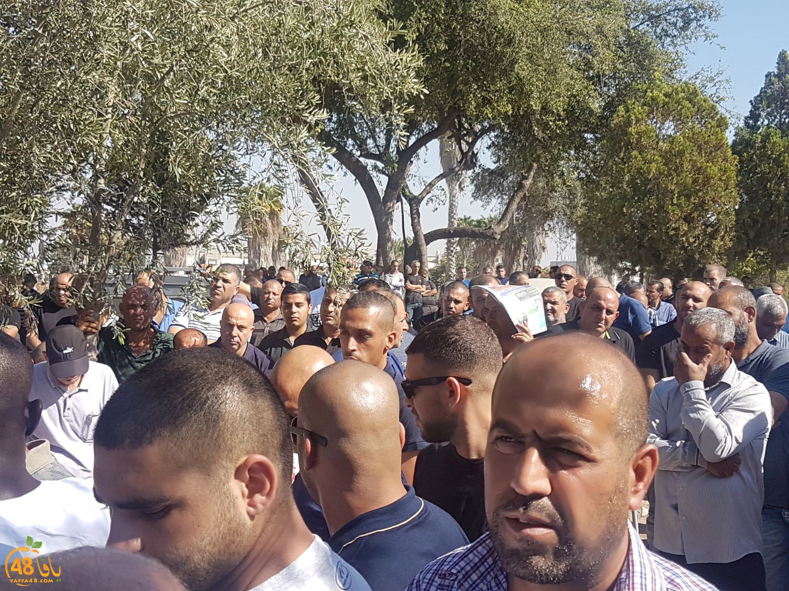 tasheye3 om nayef (11).jpg